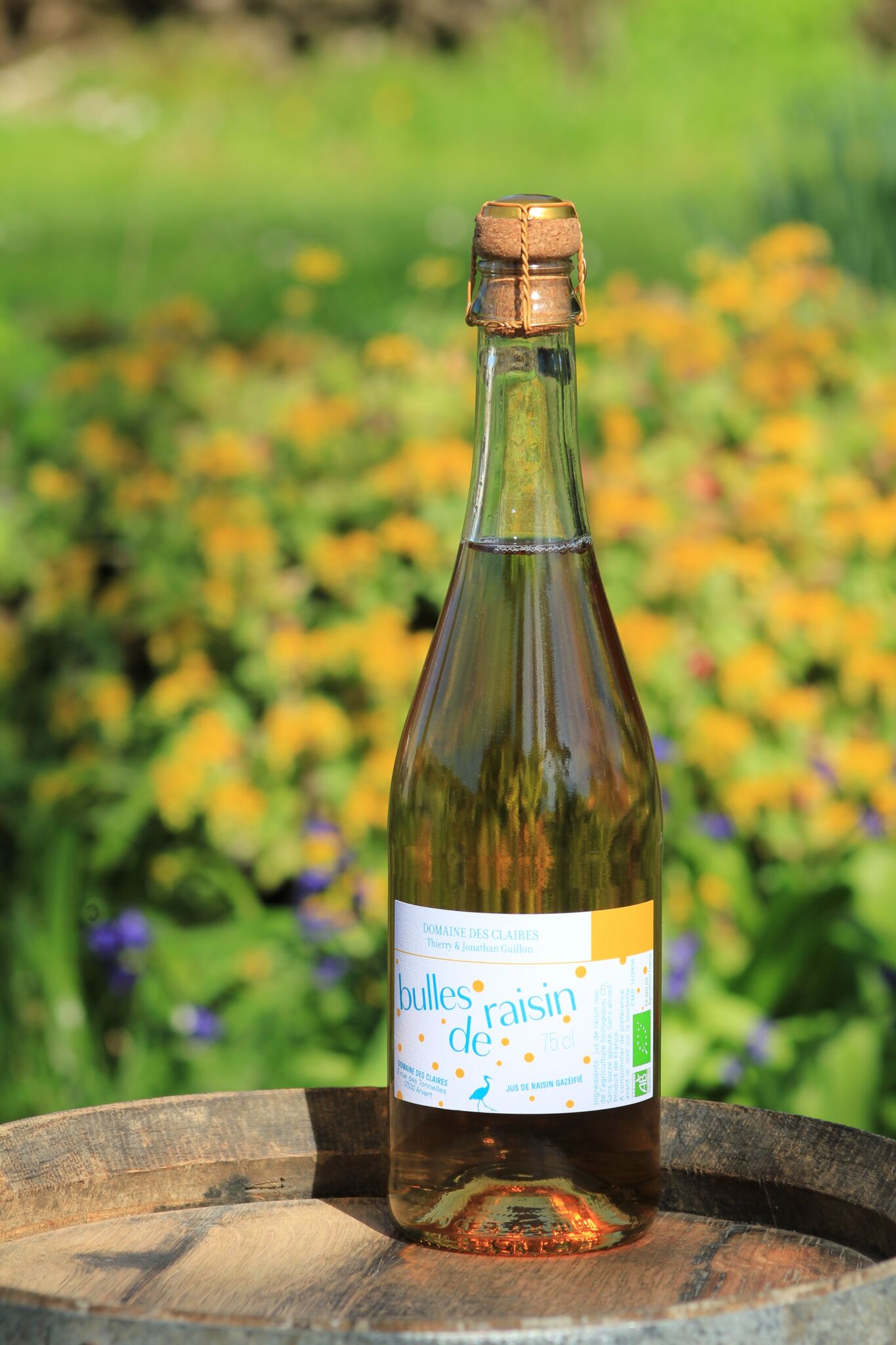 Bolas Raisin Bulles de Raisin | Domaine des Claires